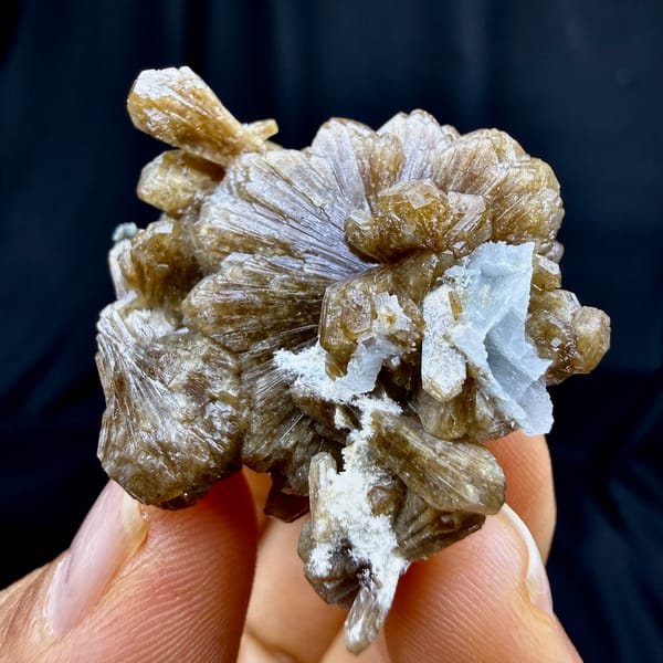 Golden sunflower stilbite bow-tie with white calcite from Yunxiao, Fujian, China, reverse side