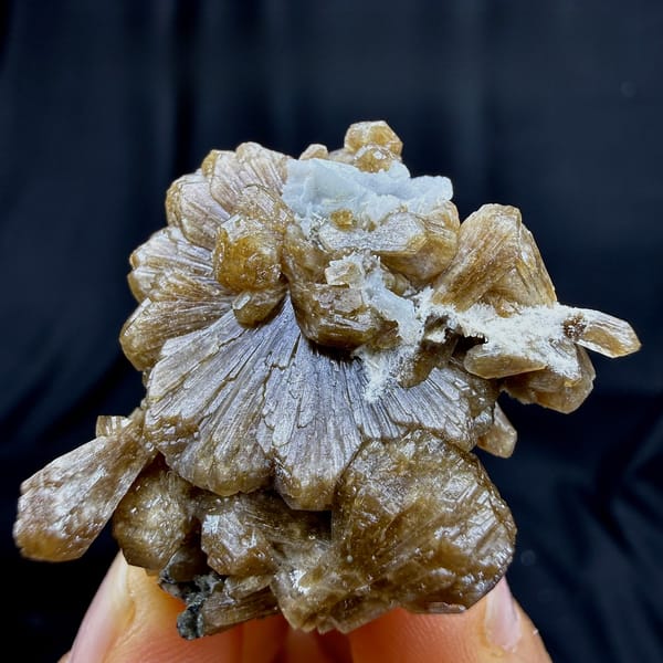 Golden sunflower stilbite bow-tie with white calcite from Yunxiao, Fujian, China, top view