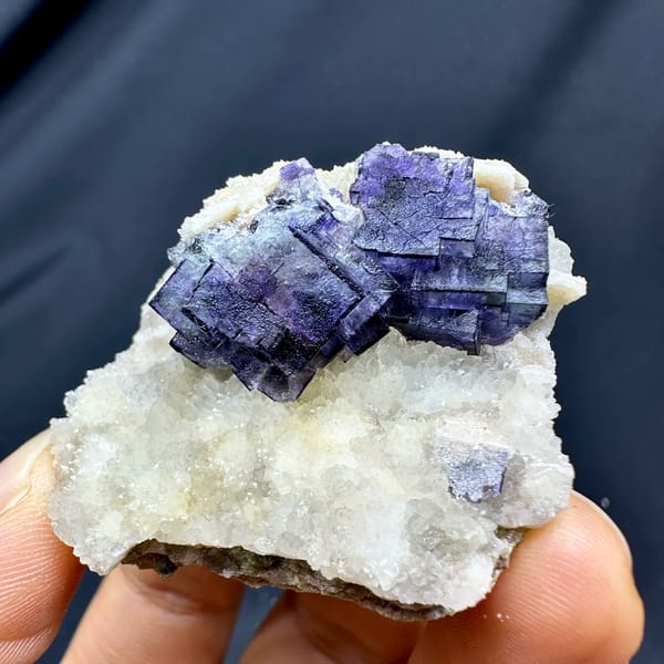 Purple-edged fluorite cubes on white quartz druse from Inner Mongolia, China, held in hand
