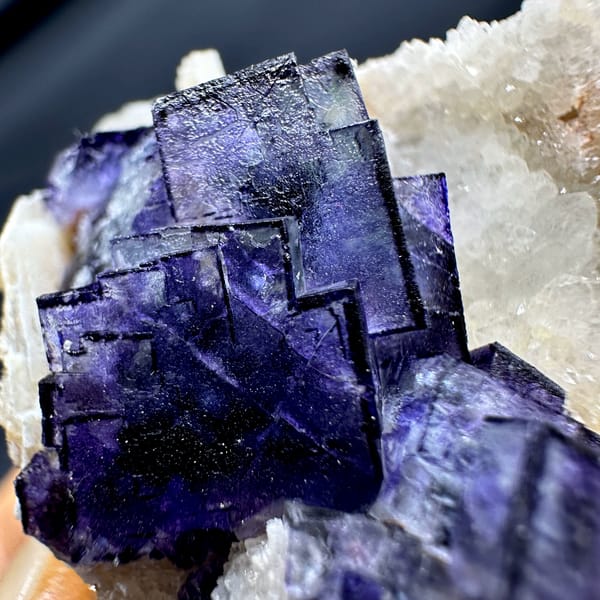 Purple-edged fluorite cubes on white quartz druse from Inner Mongolia, China, close-up of the crystal faces