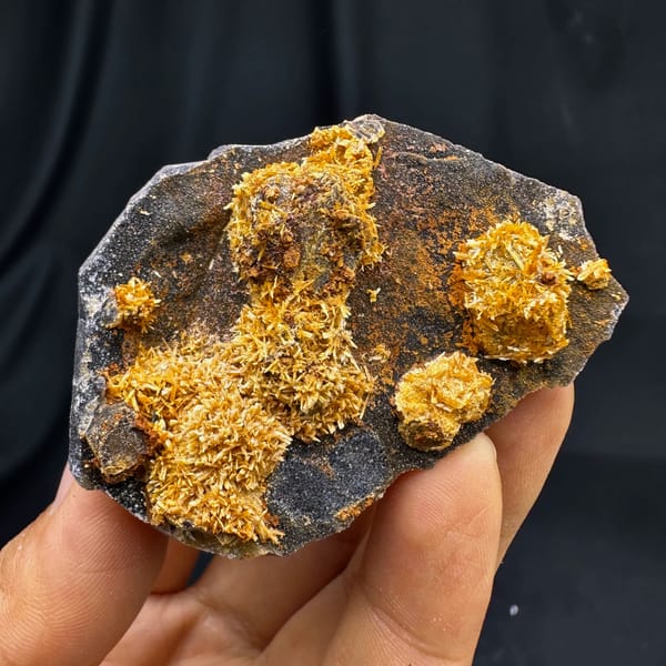 Golden jarosite balls over fluorite on dark plate from Guizhou, China, second angle