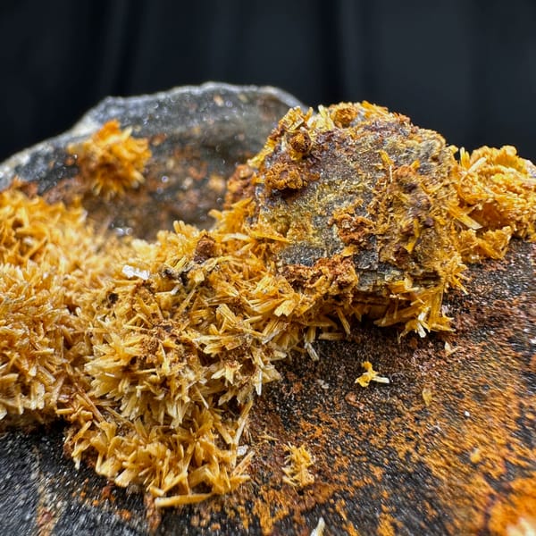 Golden jarosite balls over fluorite on dark plate from Guizhou, China, reverse side