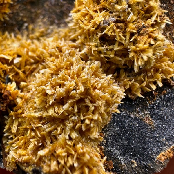 Golden jarosite balls over fluorite on dark plate from Guizhou, China, top view