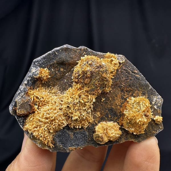 Golden jarosite balls over fluorite on dark plate from Guizhou, China, detail of the matrix contact
