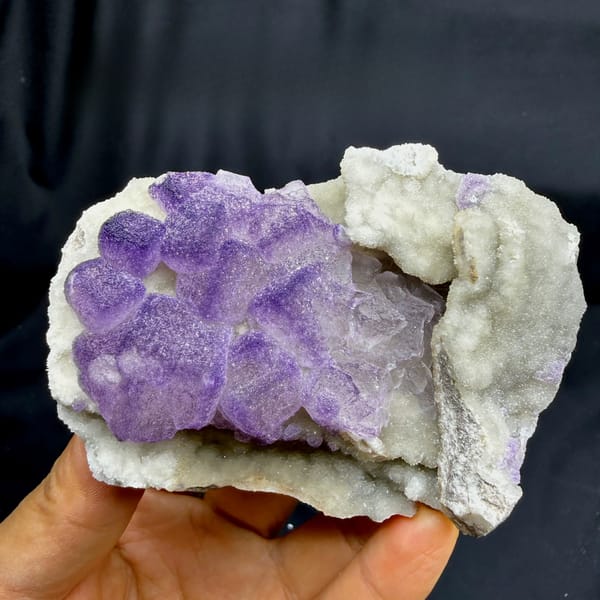 Frosted lavender fluorite cubes beside white quartz druse from Guizhou, China, held in hand
