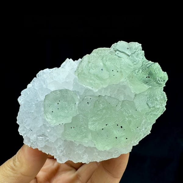 Pale green fluorite cubes in white quartz with pyrite from Jiangxi, China, held in hand