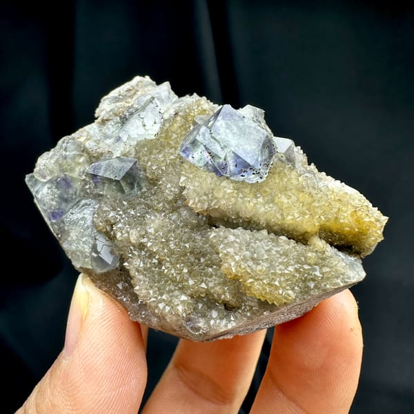 Lavender-blue fluorite dodecahedra with pyrite on quartz druse from Fujian, China, front view in daylight, held in hand