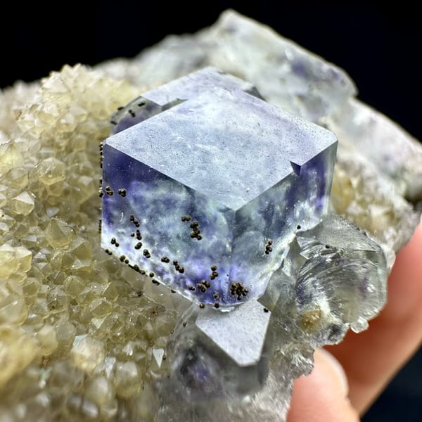 Lavender-blue fluorite dodecahedra with pyrite on quartz druse from Fujian, China, reverse side