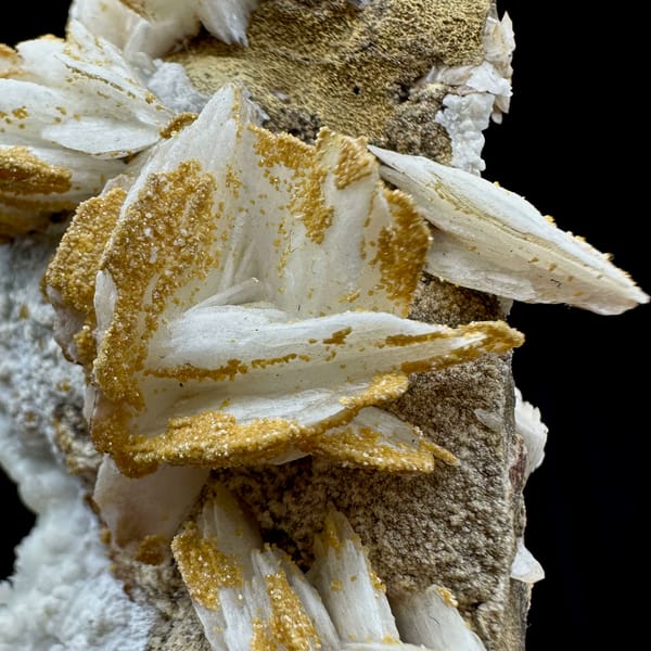 Tan baryte blades on white aragonite ridge from Morocco, close-up of the crystal faces