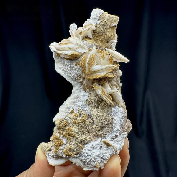 Tan baryte blades on white aragonite ridge from Morocco, detail of the matrix contact