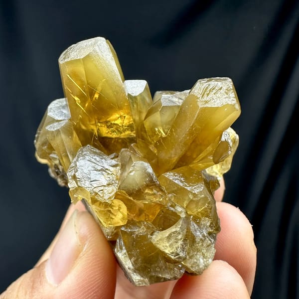 Golden-yellow baryte cluster with rabbit-ear blades from Chongqing, China, held in hand