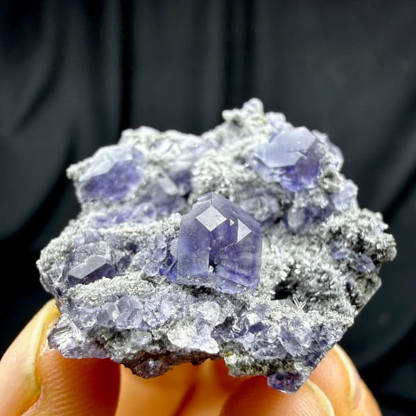 Violet-blue fluorite cubes on grey quartz druse from Fujian, China, held in hand
