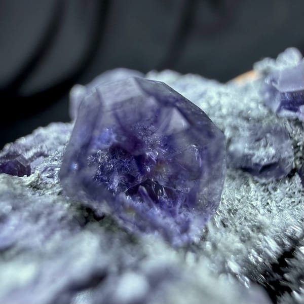 Violet-blue fluorite cubes on grey quartz druse from Fujian, China, top view