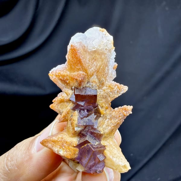 Purple-red fluorite cubes between tan calcite blades from Yunnan, China, held in hand