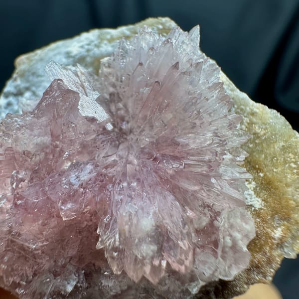 Pink radiating creedite flowers on tan matrix from Guizhou, China, top view