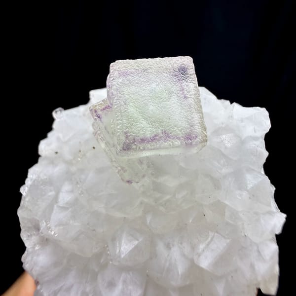 Purple-framed green fluorite cube on white quartz stalk from Zhejiang, China, close-up of the crystal faces