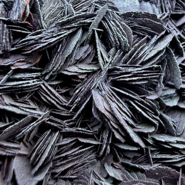 Black-rose specular hematite plate of overlapping petals from Guangdong, China, top view