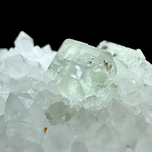 Pale green fluorite cube nested in white quartz points from Guangdong, China, close-up of the crystal faces