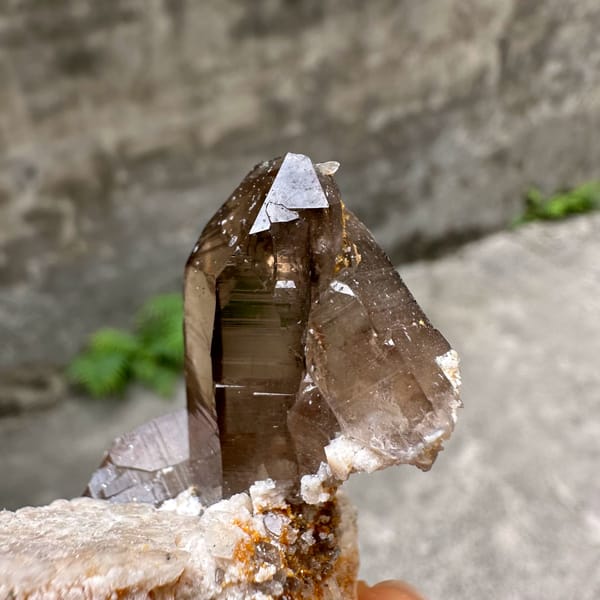 Smoky quartz floater with cream feldspar wing from Yunxiao, Fujian, China, reverse side