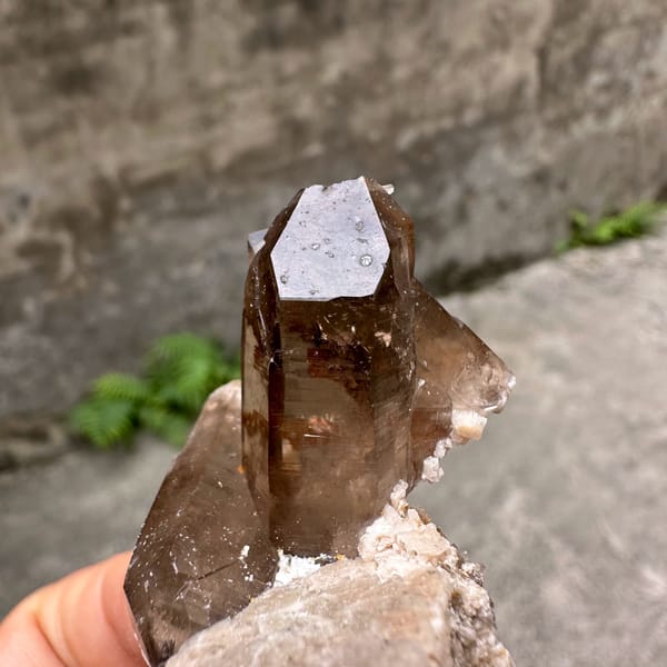 Smoky quartz floater with cream feldspar wing from Yunxiao, Fujian, China, top view