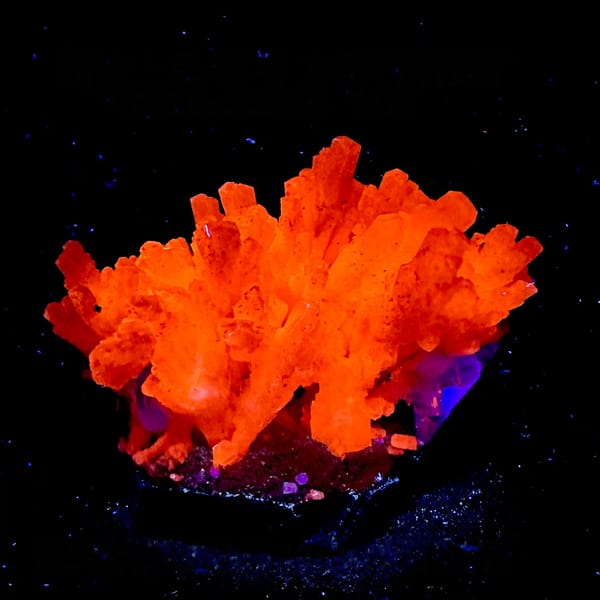Feather calcite with pyrite fluorescing orange-red under UV, from Shangbao Mine, Hunan, China