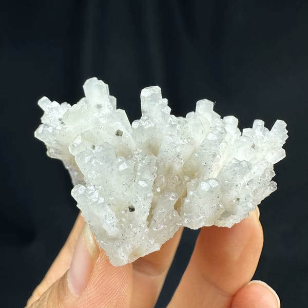 Feather calcite with pyrite, from Shangbao Mine, Hunan, China, reverse side