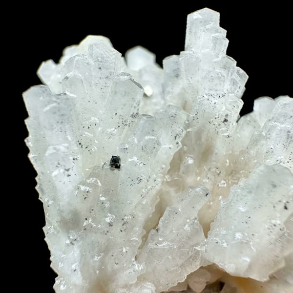 Feather calcite with pyrite, from Shangbao Mine, Hunan, China, top view