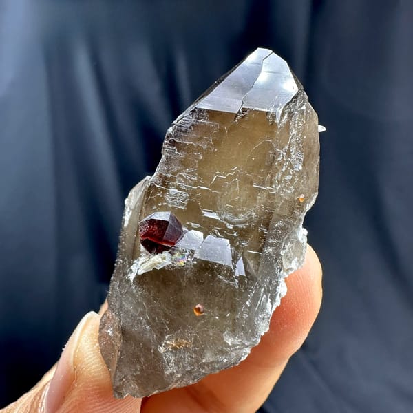 Dark smoky quartz crystal with red garnet from Yunxiao, Fujian, China, held in hand