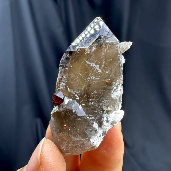 Dark smoky quartz crystal with red garnet from Yunxiao, Fujian, China, second angle