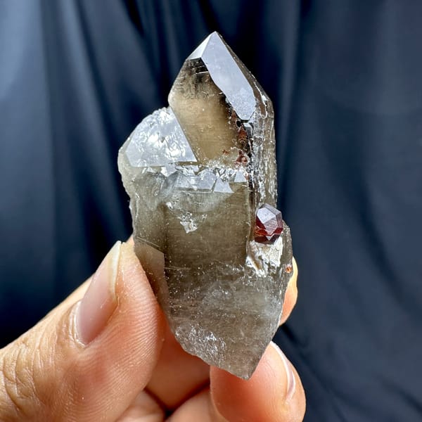Dark smoky quartz crystal with red garnet from Yunxiao, Fujian, China, close-up of the crystal faces
