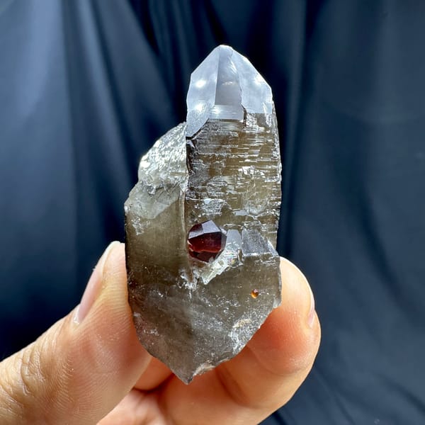 Dark smoky quartz crystal with red garnet from Yunxiao, Fujian, China, reverse side