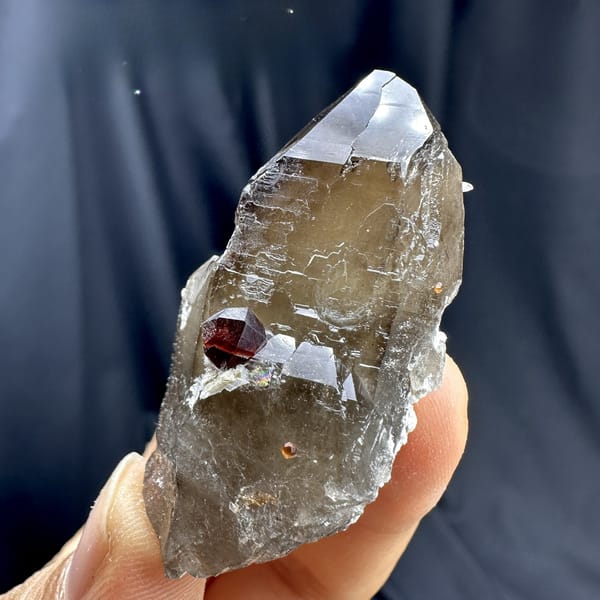 Dark smoky quartz crystal with red garnet from Yunxiao, Fujian, China, top view