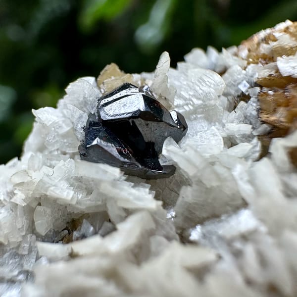 Cream dolomite blades with black sphalerite on siderite from Guizhou, China, second angle