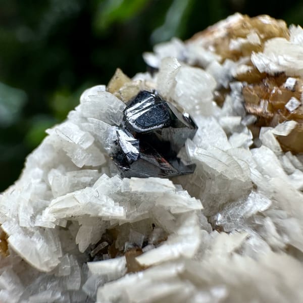 Cream dolomite blades with black sphalerite on siderite from Guizhou, China, close-up of the crystal faces