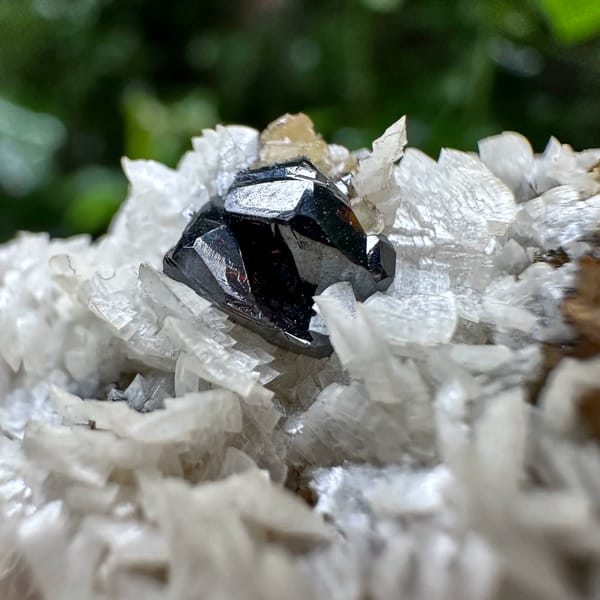 Cream dolomite blades with black sphalerite on siderite from Guizhou, China, reverse side