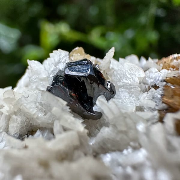 Cream dolomite blades with black sphalerite on siderite from Guizhou, China, top view
