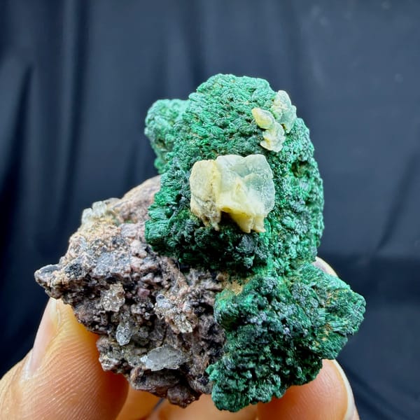 Deep green malachite crust with calcite and cobaltoan calcite from DR Congo, held in hand