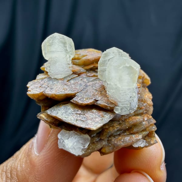 Pale calcite prisms on golden-brown siderite plates from Guizhou, China, top view