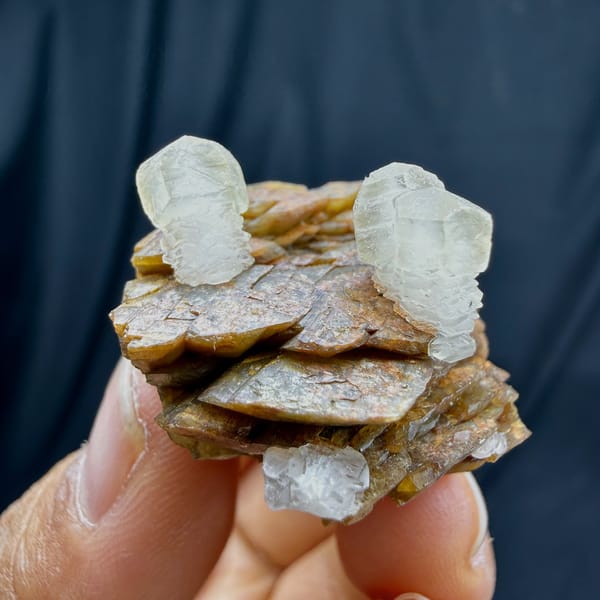 Pale calcite prisms on golden-brown siderite plates from Guizhou, China, detail of the matrix contact