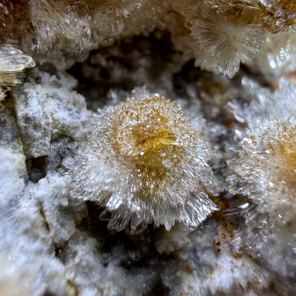 Chrysanthemum creedite sprays, from Guizhou, China, close-up of the crystal faces
