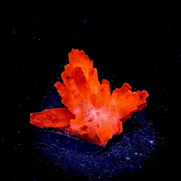 Feather calcite spray fluorescing orange-red under UV, from Shangbao Mine, Hunan, China