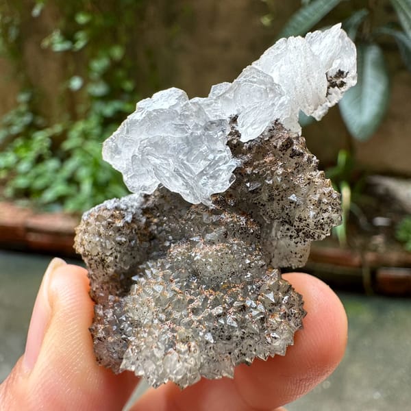 Clear calcite flower on dark quartz druse from Fujian, China, close-up of the crystal faces