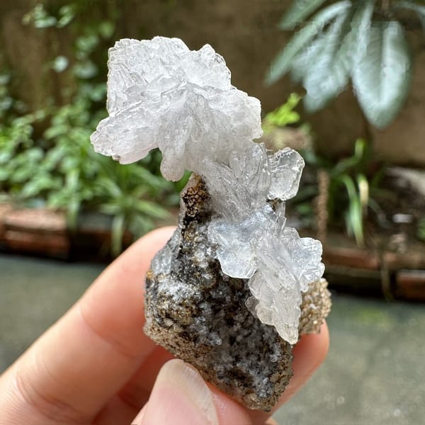 Clear calcite flower on dark quartz druse from Fujian, China, detail of the matrix contact