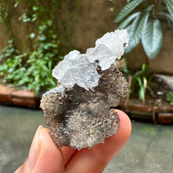 Clear calcite flower on dark quartz druse from Fujian, China, side view