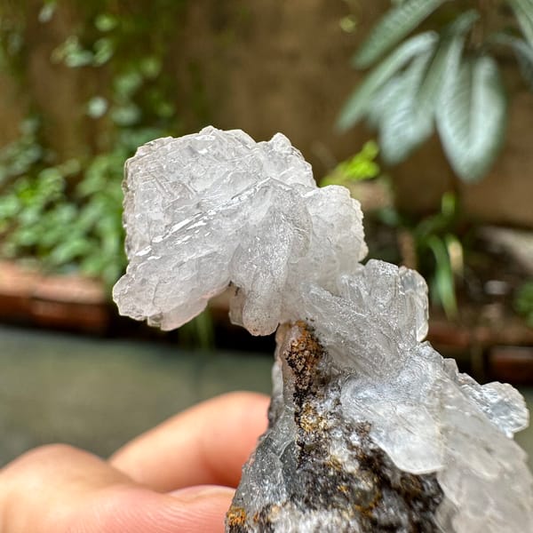 Clear calcite flower on dark quartz druse from Fujian, China, close-up of terminations