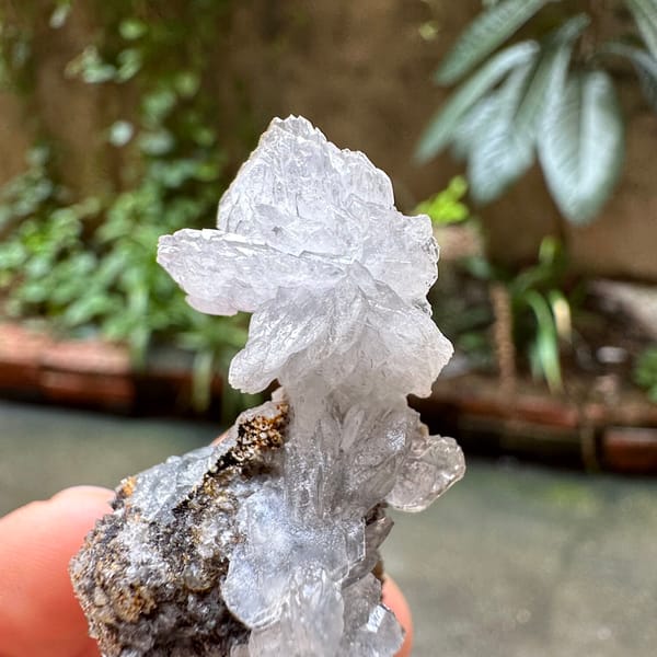Clear calcite flower on dark quartz druse from Fujian, China, overall view