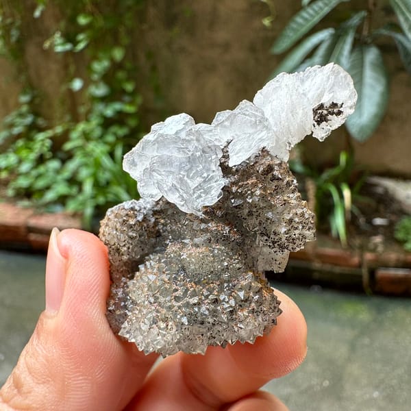 Clear calcite flower on dark quartz druse from Fujian, China, another angle