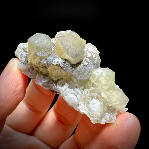 Pale yellow-green calcite rhombs with cream dolomite from Fujian, China, held in hand