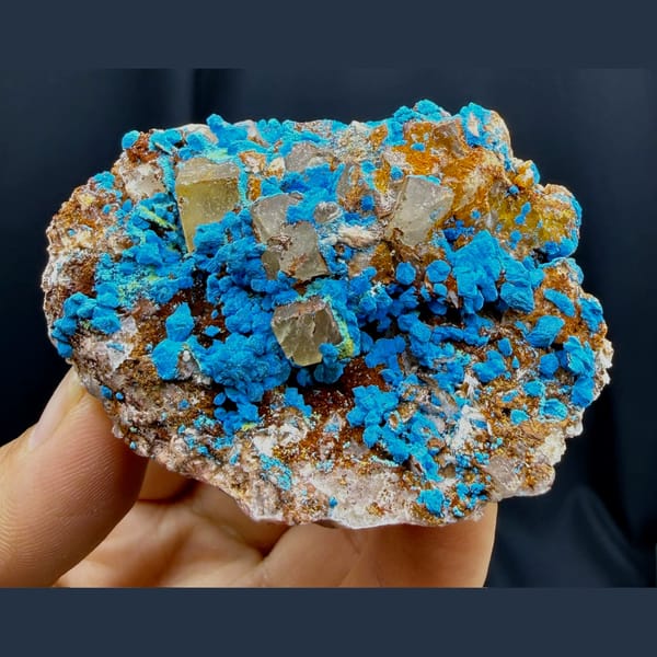 Blue chrysocolla with fluorite cubes from DR Congo — complete view