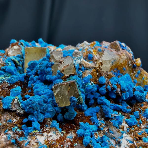 Blue chrysocolla with fluorite cubes from DR Congo — alternate view